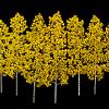 Autumn Gold, 68" x 96"
